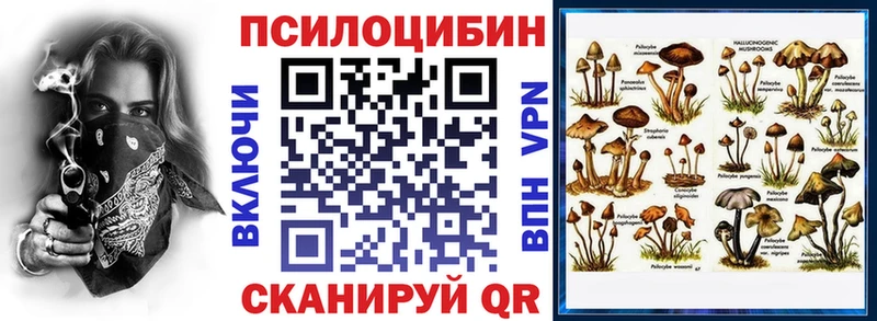 Галлюциногенные грибы Cubensis Дубовка