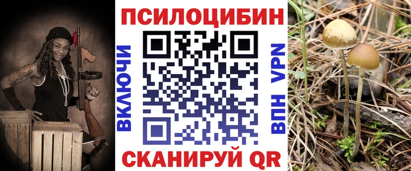 Псилоцибиновые грибы Magic Shrooms  Дубовка 