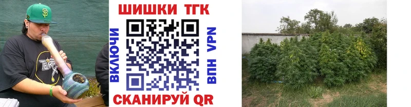 Каннабис Bruce Banner  KRAKEN зеркало  Дубовка  закладка 